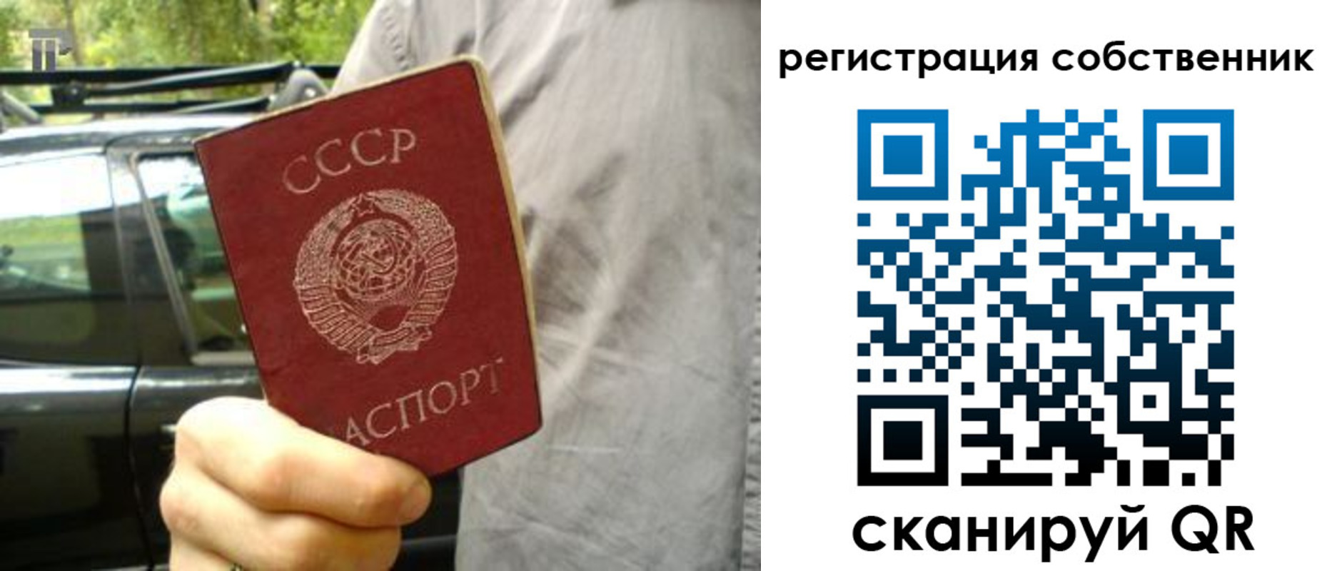 прописка 2025 в Камешково